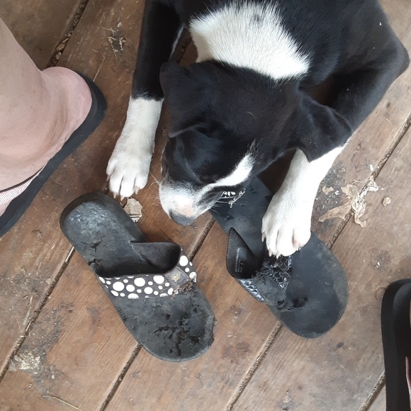 Meet your Posher, Steve - Picture 5 of 7